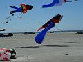 Fanø 2010 026
